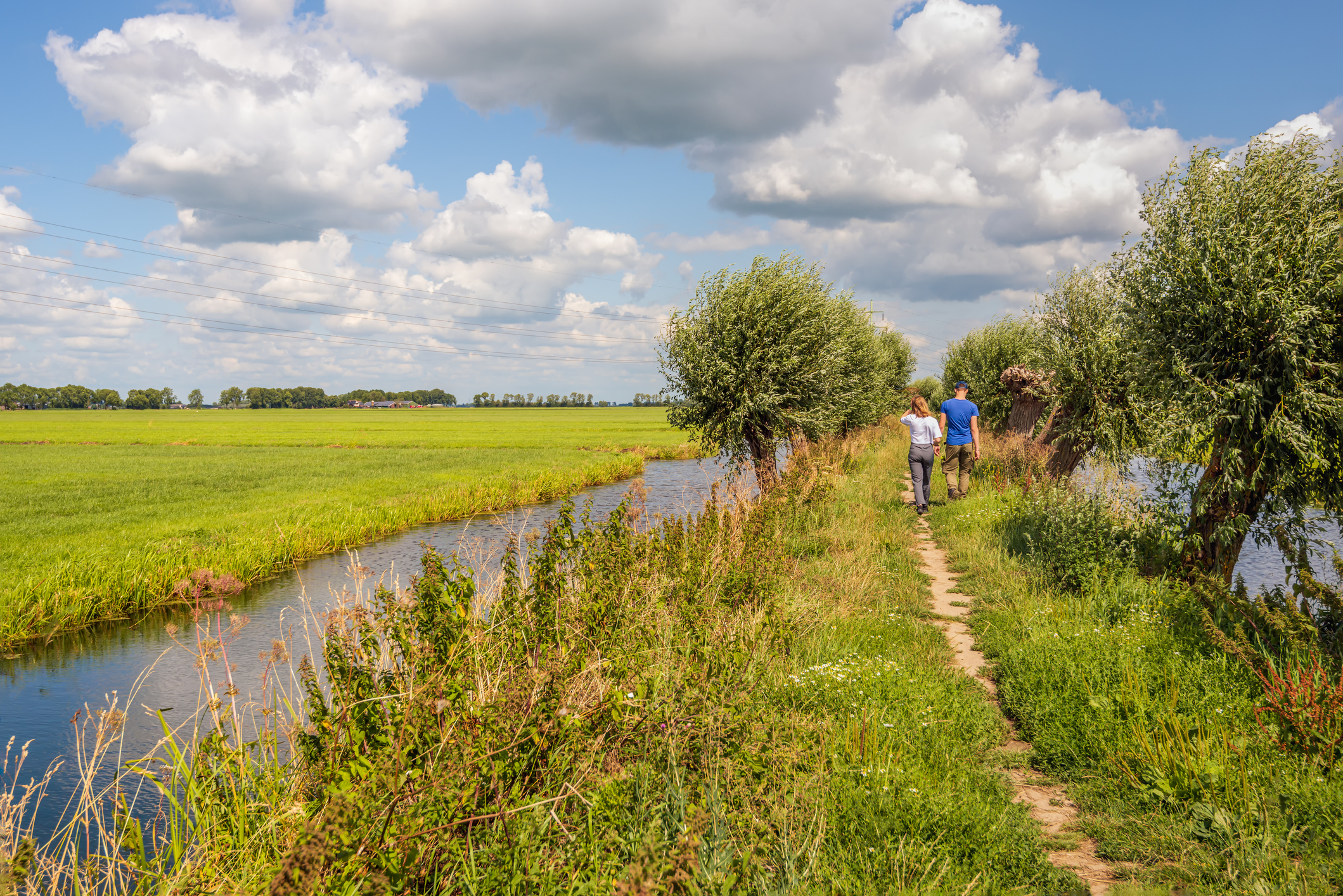 Download ons gratis e-book met wandelroutes in Noord-Holland en omgeving Zwolle